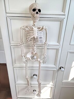 Place & Time 36" Tall Skeleton Posable Halloween Day of the Dead New W tags